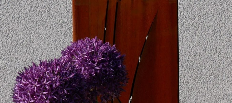 Allium cadré