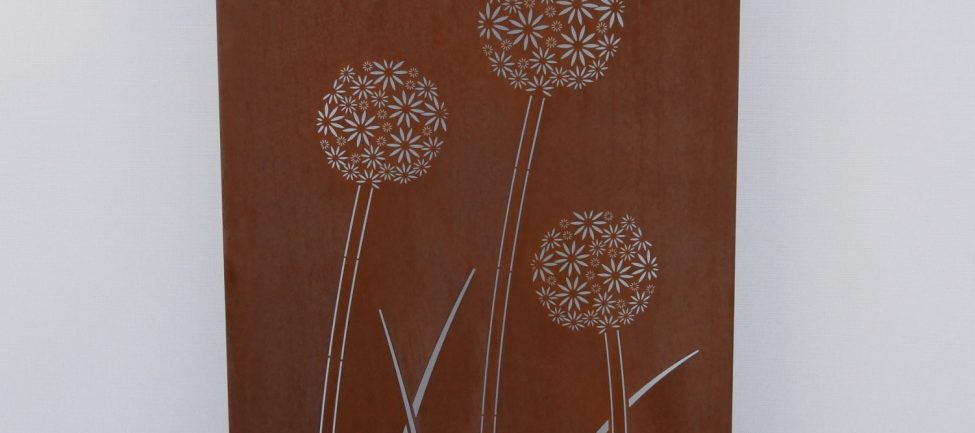 BV Allium